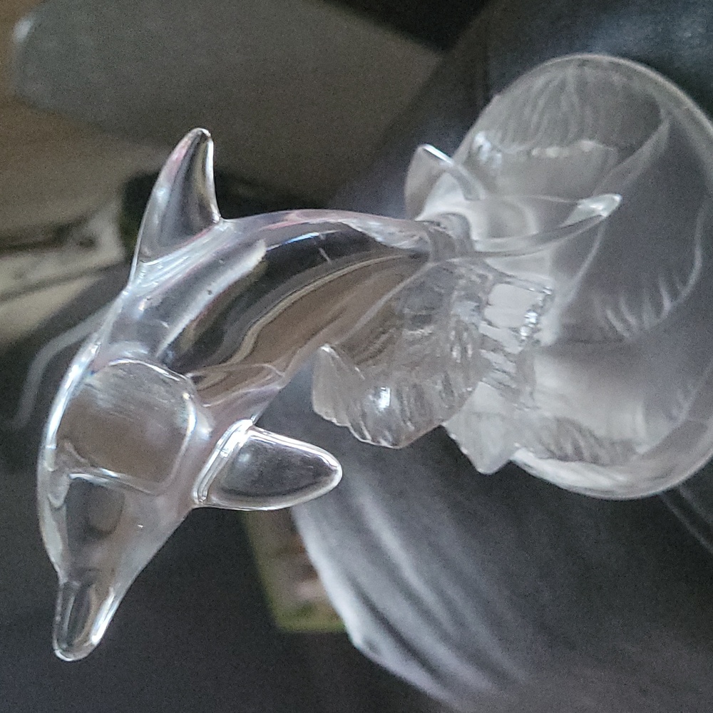 Frosted glass dolphine